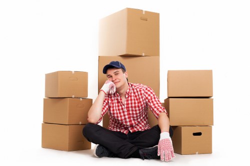 Furniture and box loading for a van move